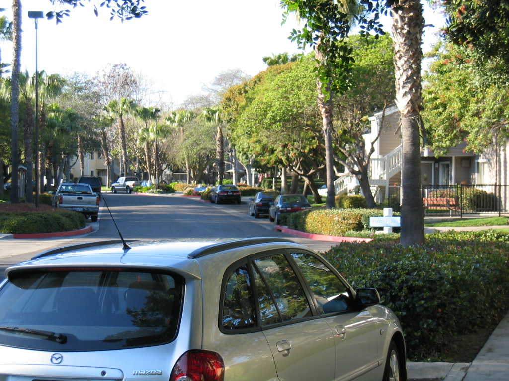 base-antiga-Liotti