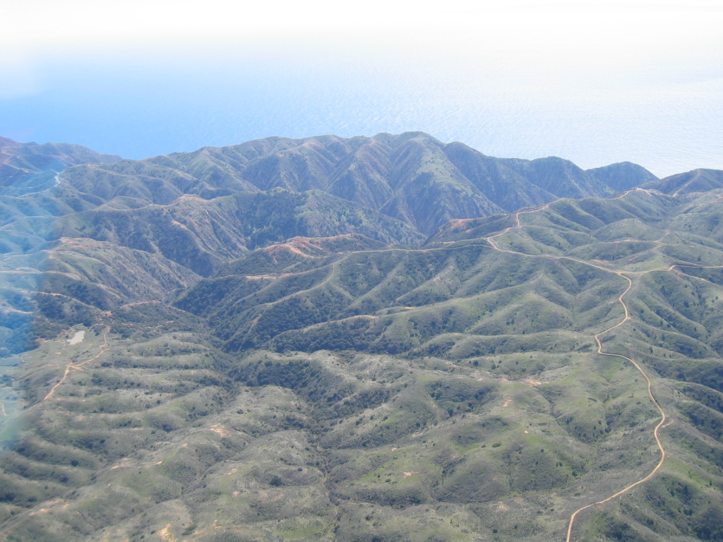 catalina-4